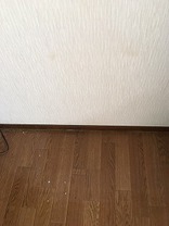 石川県白山市　T.O様　不要品回収のAfter画像