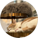 あ profile picture